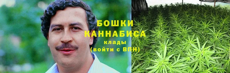 Каннабис OG Kush  Белебей 